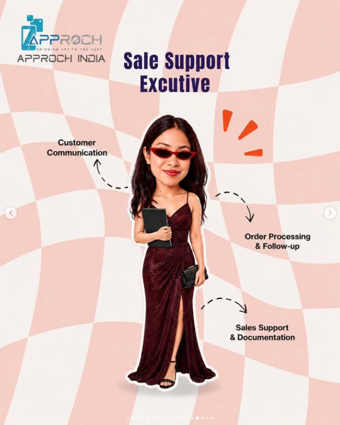 Approch India Sale Support Executive caricature